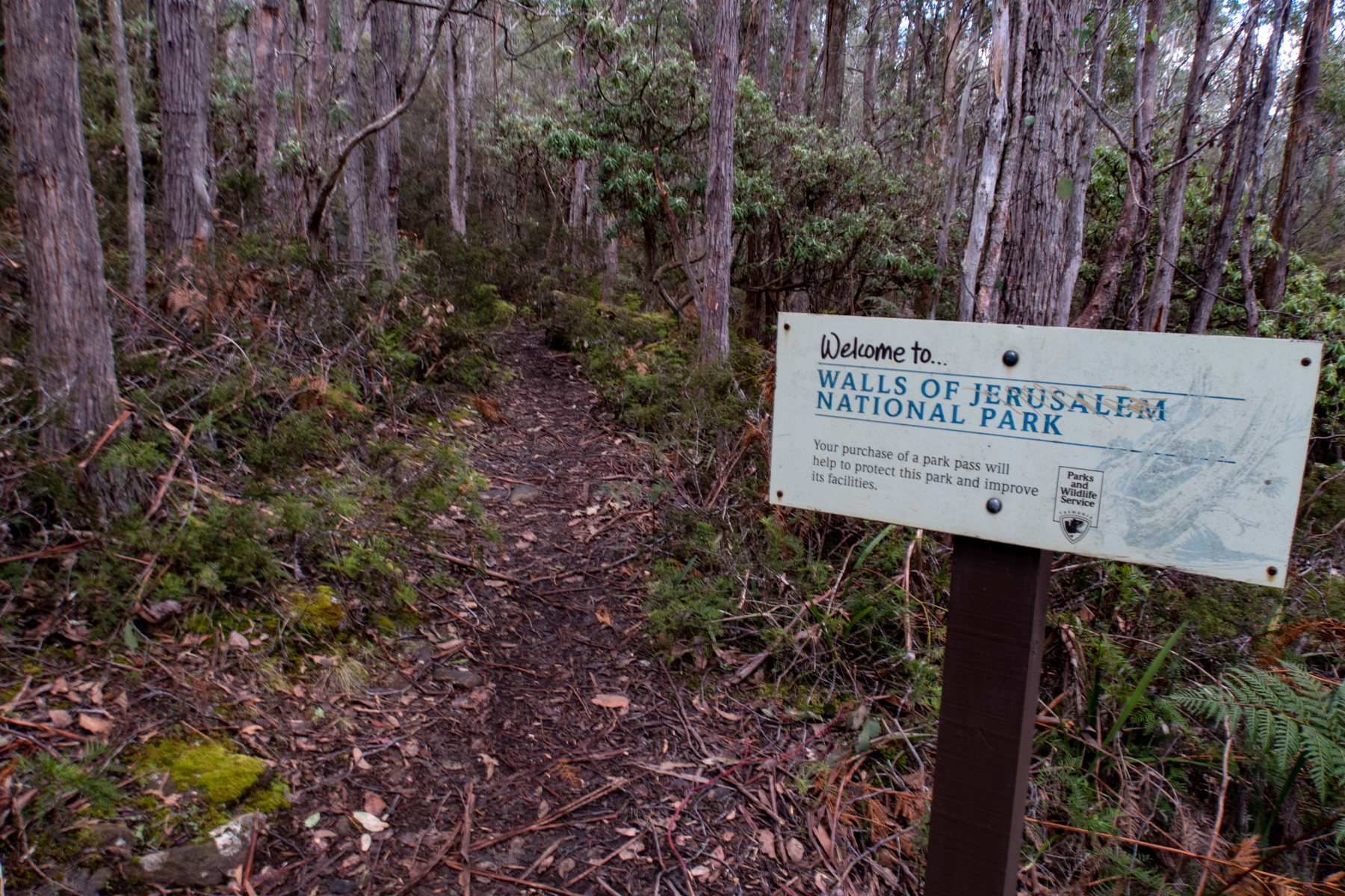 Walls of Jerusalem a one day hike to Dixons Hut Hiking the World