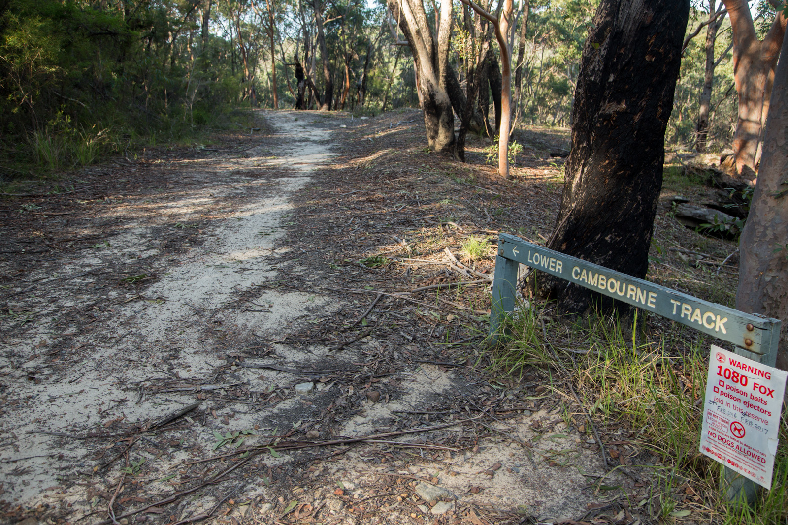 Guide to Garigal National Park Hiking the World