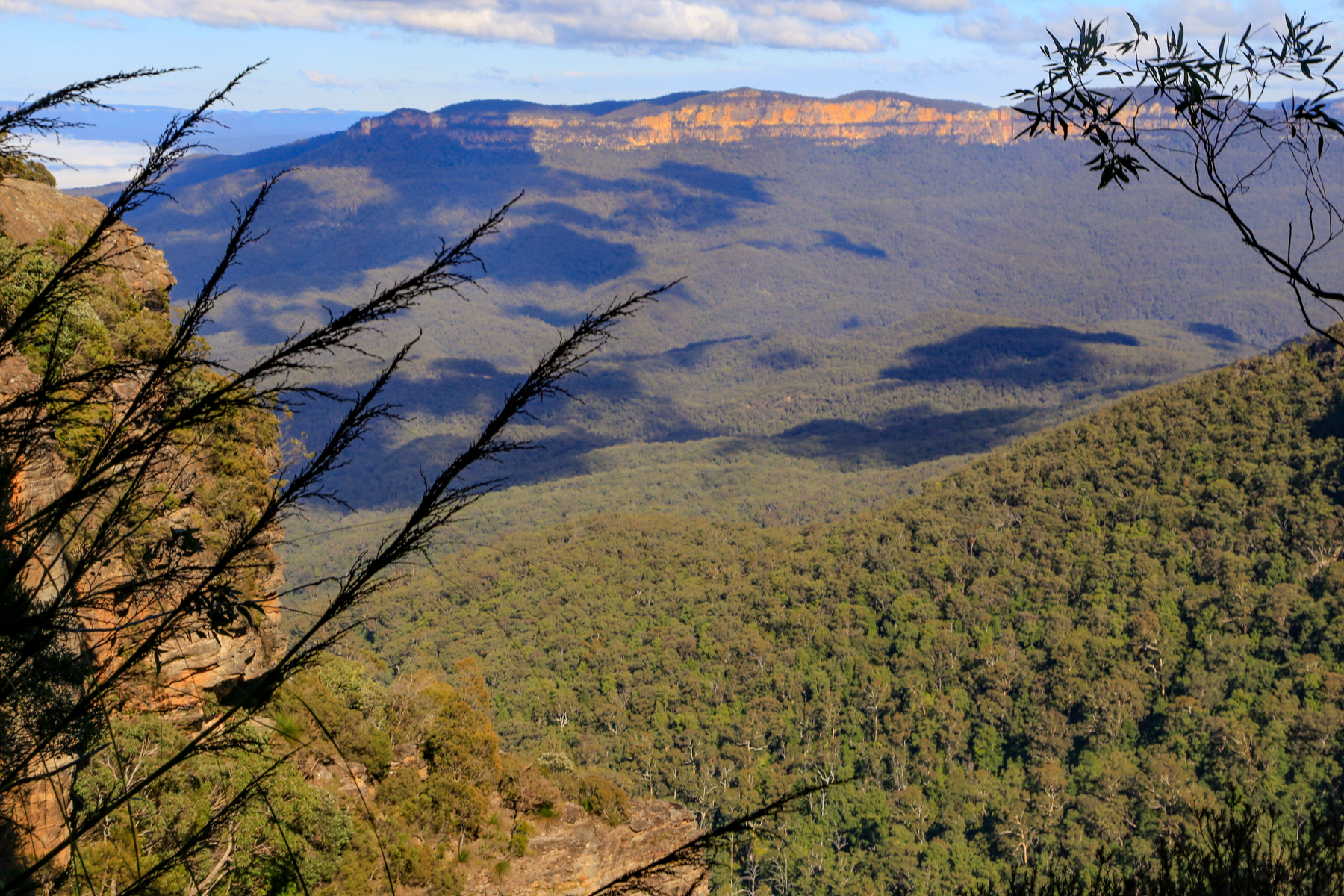 Overcliff-Undercliff Track at Valley of the Waters | Hiking the World