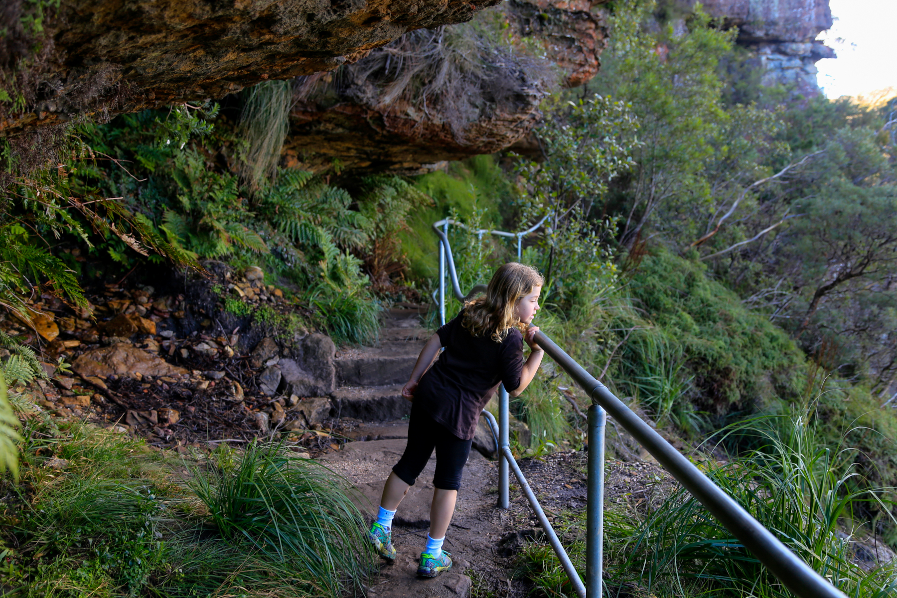 Overcliff-Undercliff Track at Valley of the Waters | Hiking the World