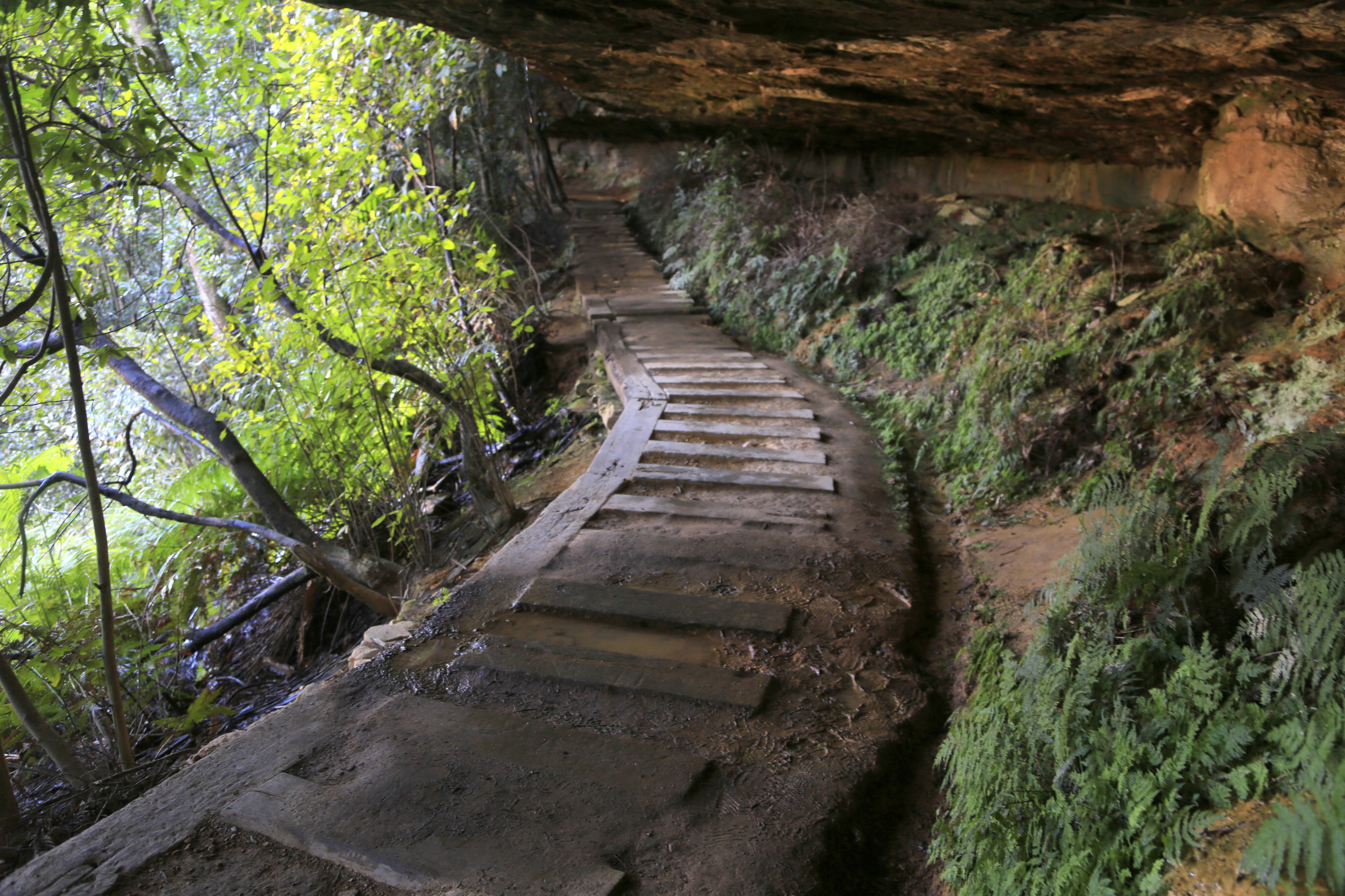 Overcliff-Undercliff Track at Valley of the Waters | Hiking the World