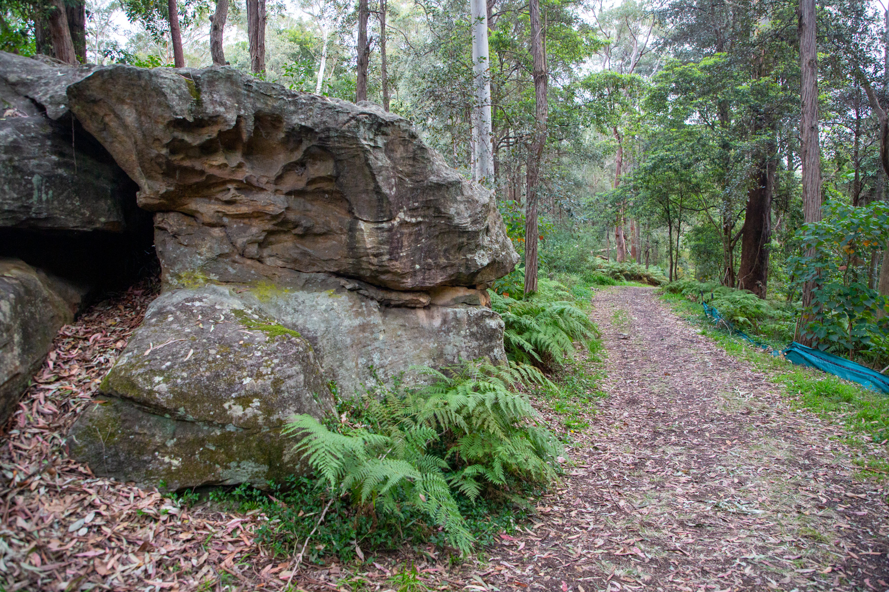 Twin Creeks Reserve a short but interesting loop walk Hiking the World