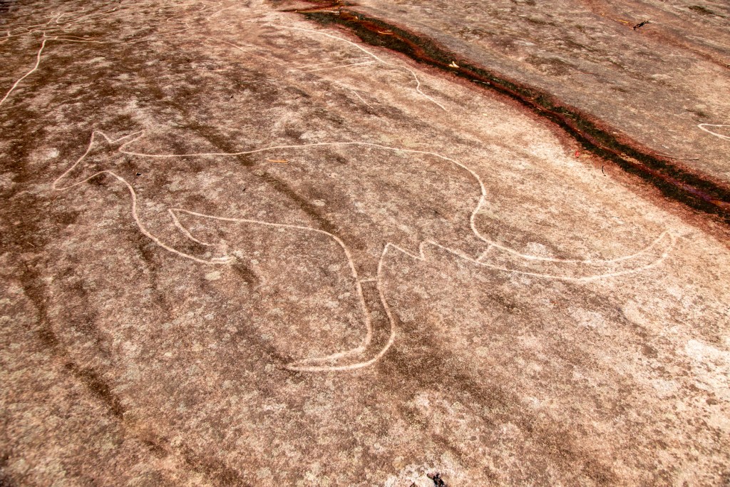 Mooney Mooney Aboriginal Area Hiking the World