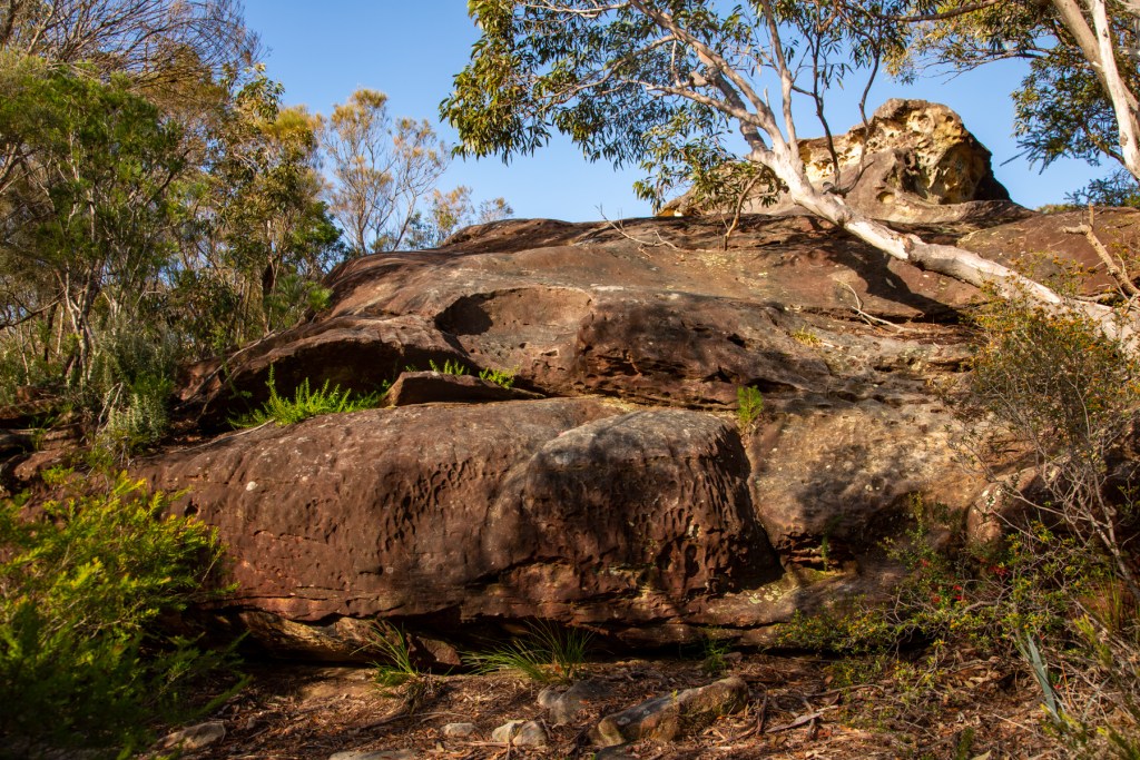 Sweeping views from the short walk to Elephant Rock | Hiking the World