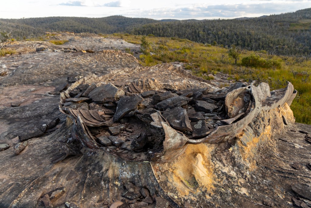 Butterbox Point - an easy walk to multiple spectacular lookouts ...