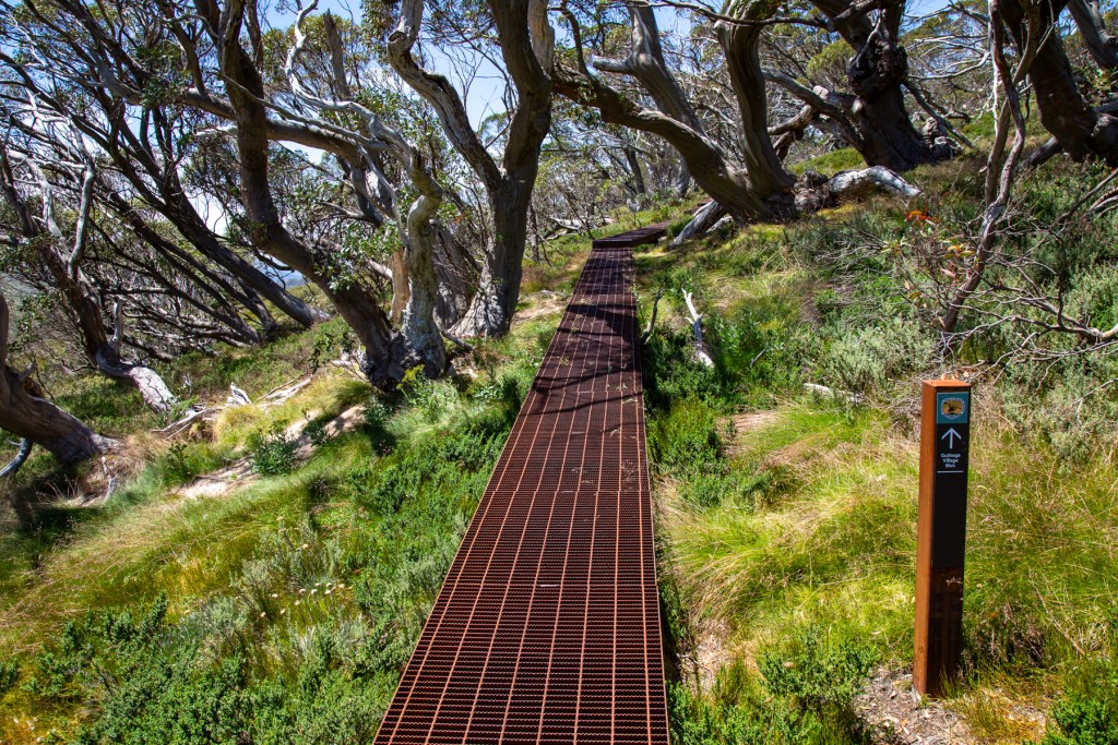 The Aussie Top Ten Peaks - a Kosciuszko Main Range adventure | Hiking ...