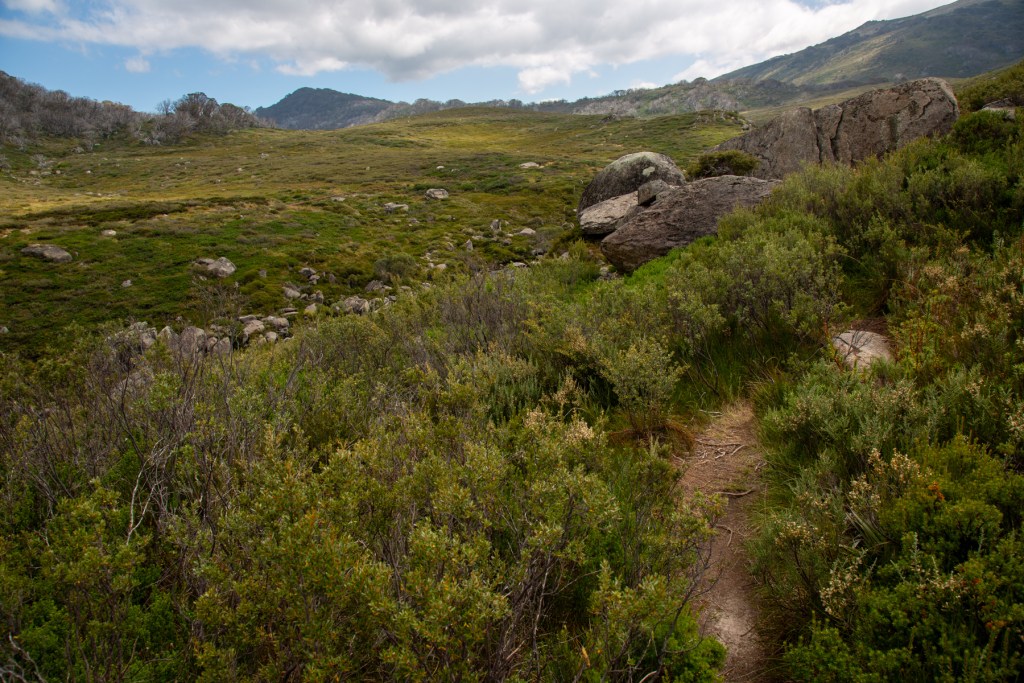 The Aussie Top Ten Peaks - a Kosciuszko Main Range adventure | Hiking ...