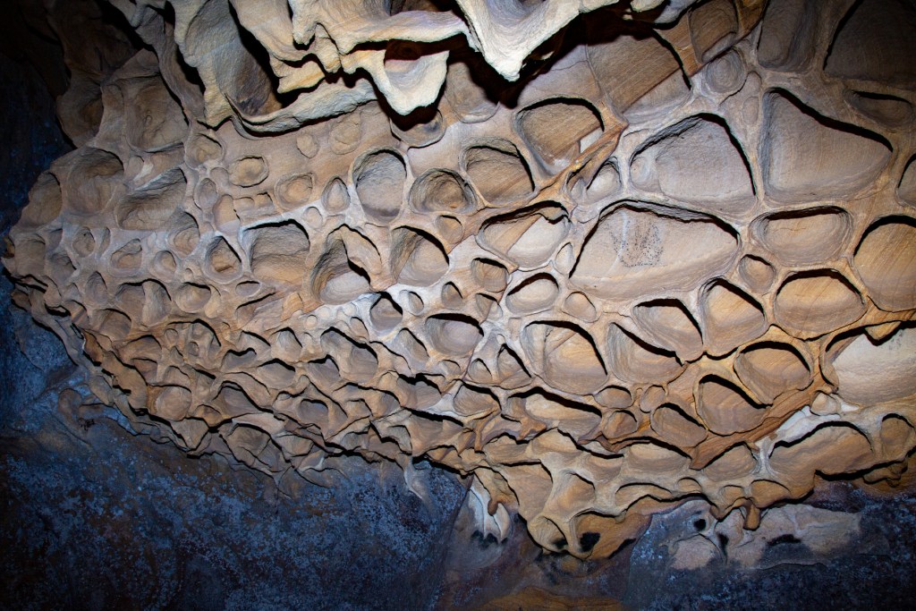 Ourimbah Creek Dancing Men Shelter | Hiking the World